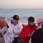 Cambria_0338 (November 02, 2013)